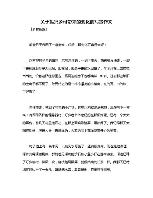 关于振兴乡村带来的变化的写景作文