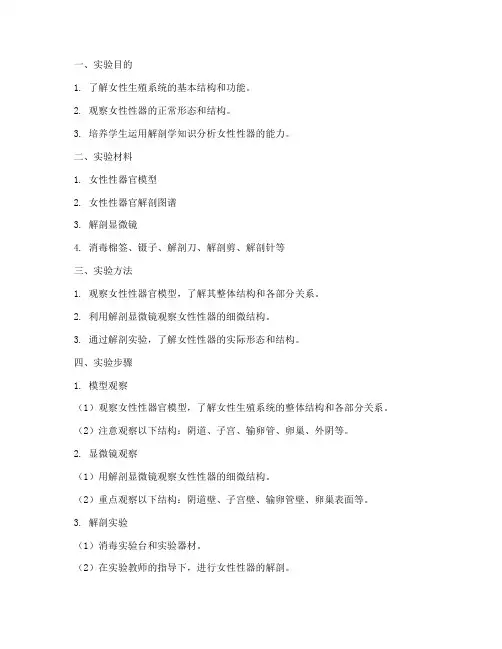 女性性器实验报告