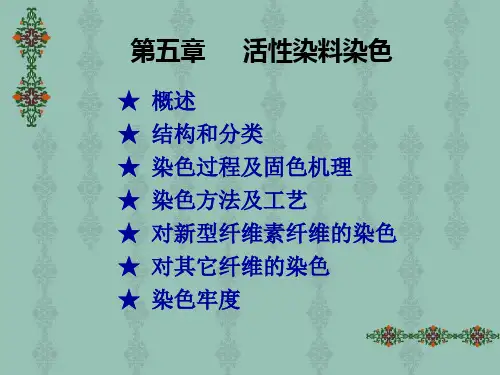 第五章活性染料染色