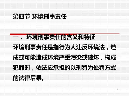 环境资源法 课件 6 环境刑事责任