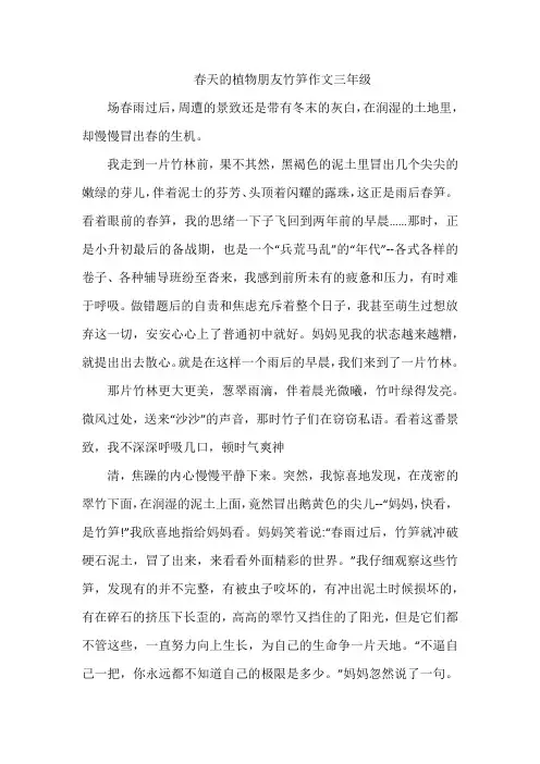 春天的植物朋友竹笋作文三年级