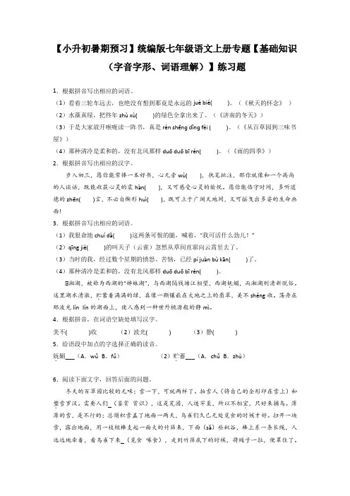 【小升初暑期预习】统编版七年级语文上册专题【基础知识(字音字形、词语理解)】练习题