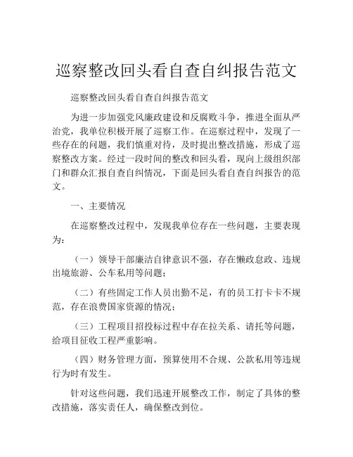 巡察整改回头看自查自纠报告范文