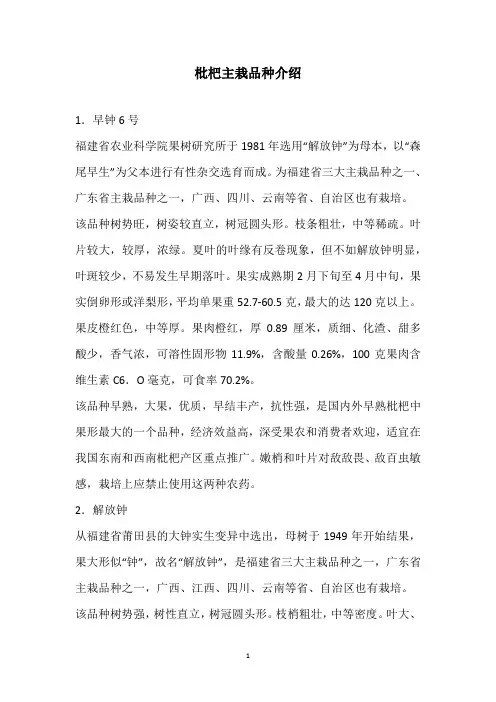 枇杷主栽品种介绍