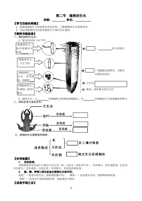 《植株的生长》学案