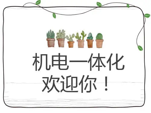 初中综合实践活动《察探究活动  2.秸秆和落叶的有效处理》培优课件_14
