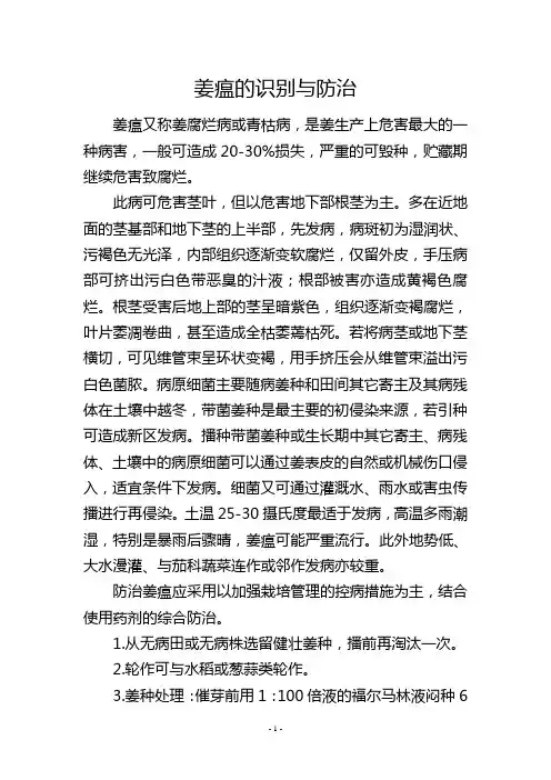姜瘟的识别与防治