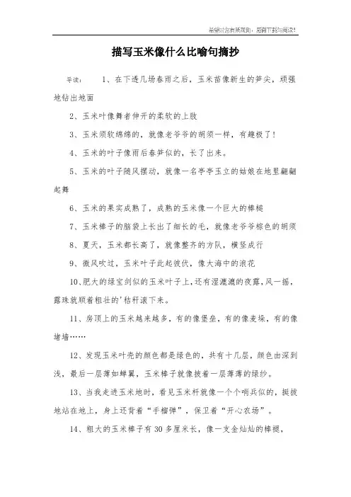 描写玉米像什么比喻句摘抄