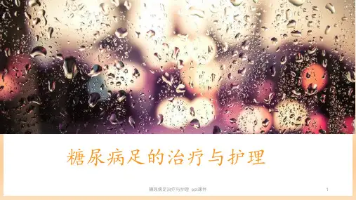糖尿病足治疗与护理 ppt课件