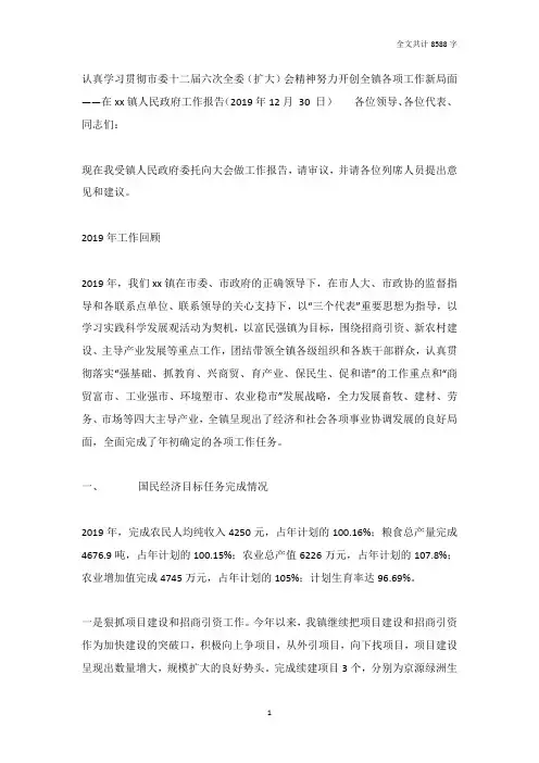 2019年乡镇人民政府工作报告