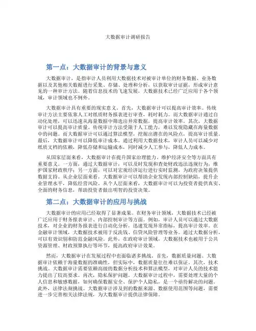 大数据审计调研报告
