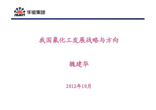 我国氟化工发展战略与方向- 三爱富 魏建华