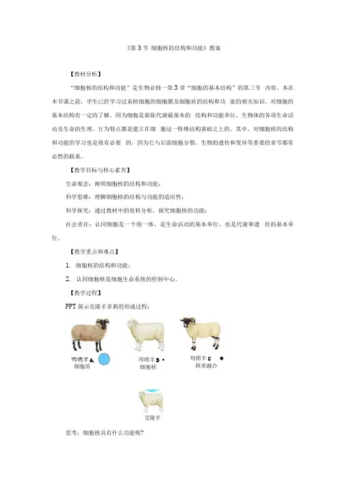 《第3节 细胞核的结构和功能》教案和导学案.docx
