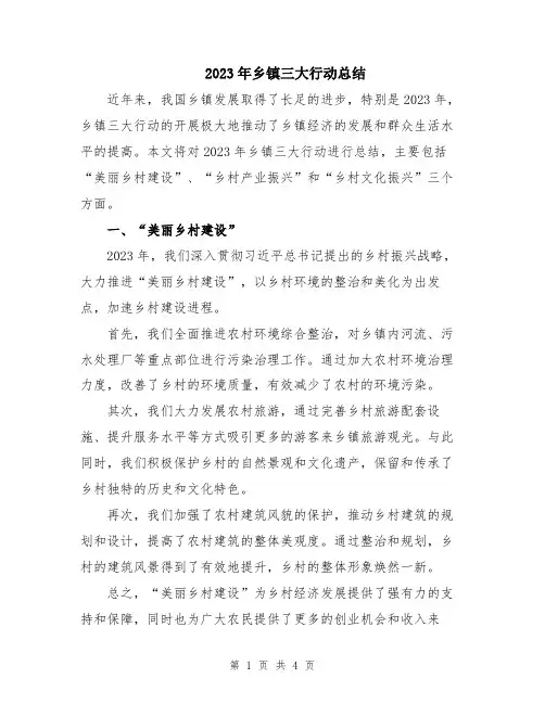 2023年乡镇三大行动总结
