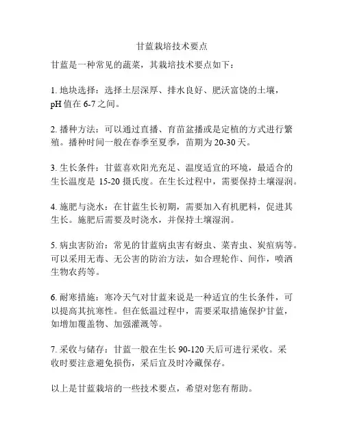 甘蓝栽培技术要点