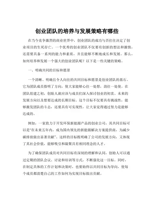 创业团队的培养与发展策略有哪些