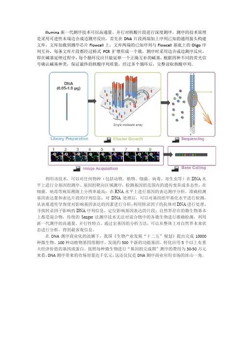 Illumina测序