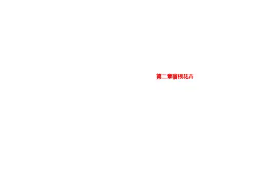 第二章宿根花卉