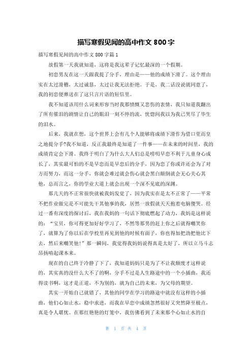 描写寒假见闻的高中作文800字