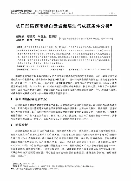 歧口凹陷西南缘白云岩储层油气成藏条件分析