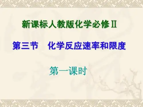 化学反应速率第一课时