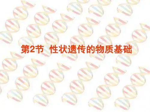 北师大版生物八年级上册20.2《性状遗传的物质基础》课件2
