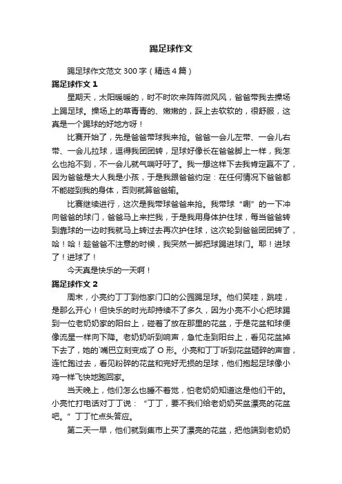 踢足球作文范文300字（精选4篇）