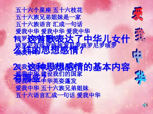 11人教版第11课《民族团结》PPT课件