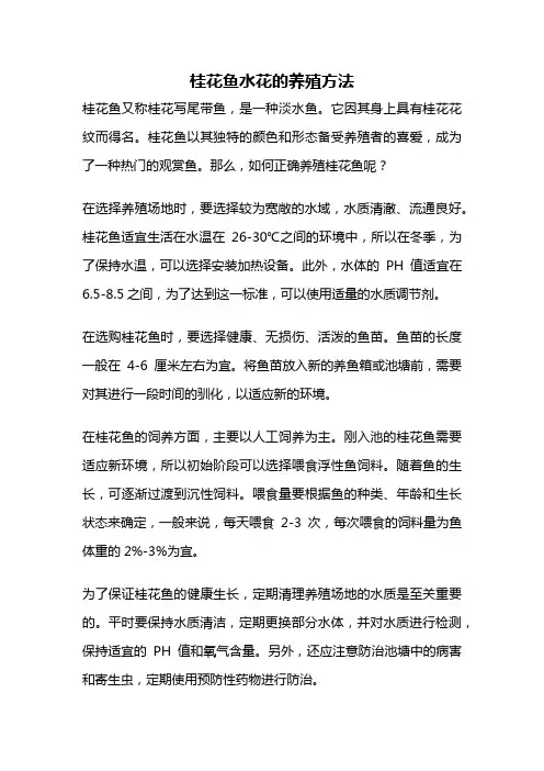 桂花鱼水花的养殖方法