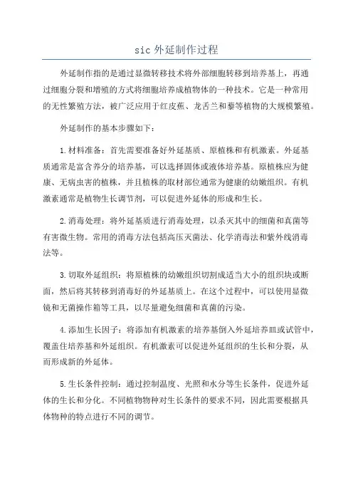 sic外延制作过程