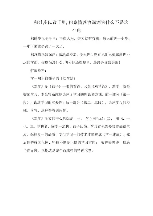 积硅步以致千里,积怠惰以致深渊为什么不是这个龟