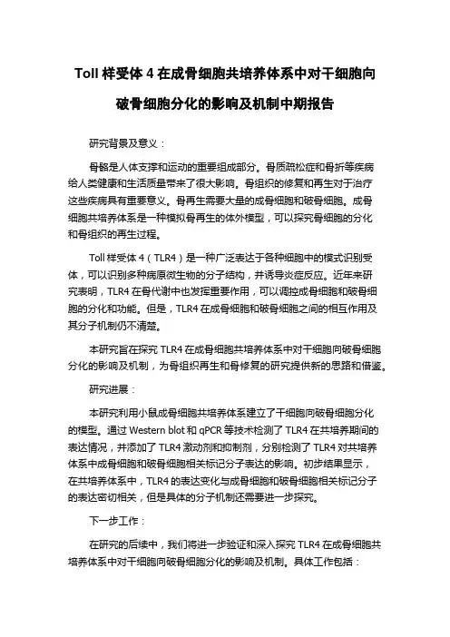 Toll样受体4在成骨细胞共培养体系中对干细胞向破骨细胞分化的影响及机制中期报告