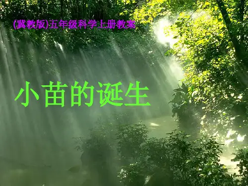 (五上)科学PPT课件1小苗的诞生 冀教版 (12张)
