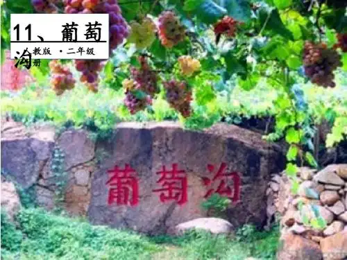 2018部编人教版二年级语文上册课文三第11课《葡萄沟》课件《(共29页)