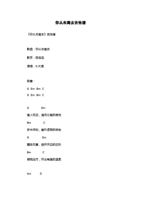 你从未离去吉他谱