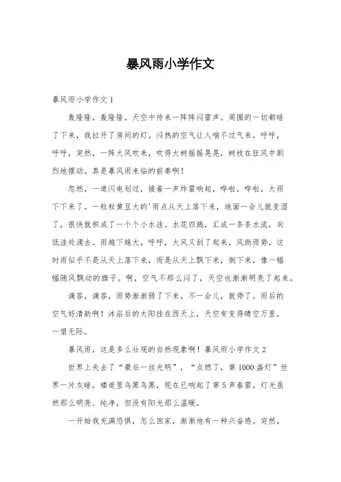 暴风雨小学作文