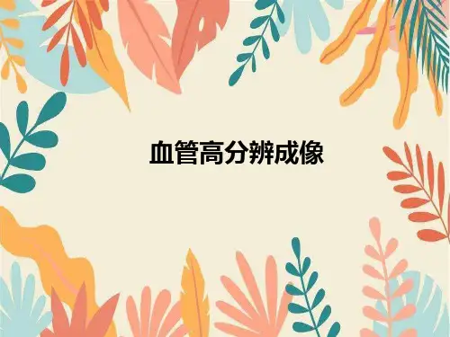 血管高分辨成像