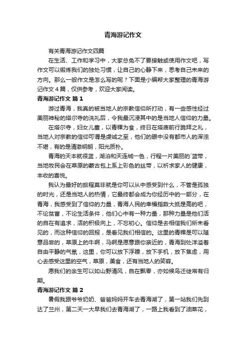 青海游记作文