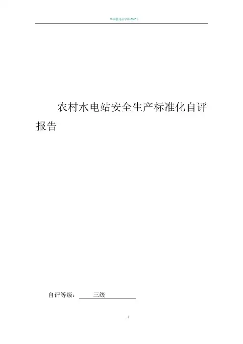 乐溪水电站安全生产标准化自评报告