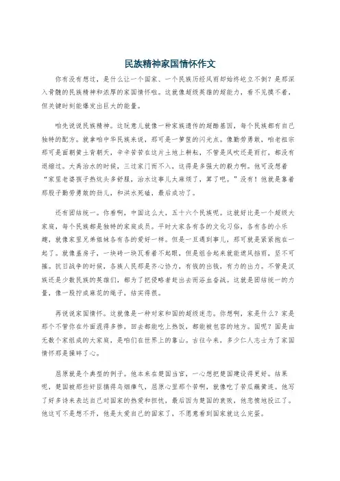 民族精神家国情怀作文