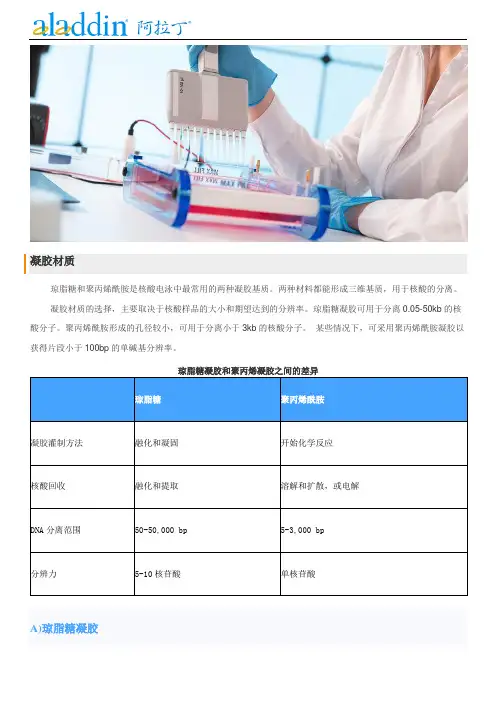 核酸电泳试剂选择指南
