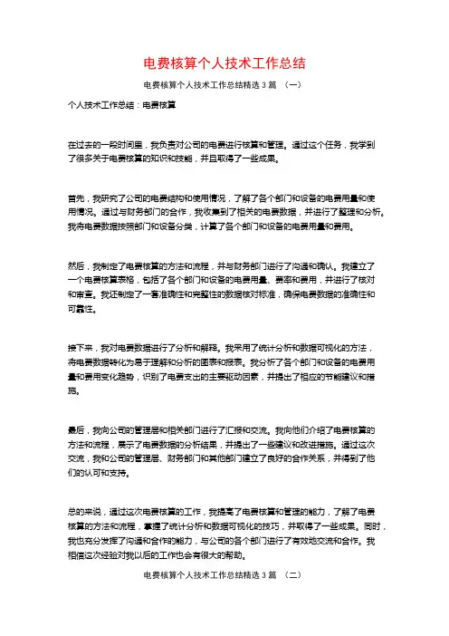 电费核算个人技术工作总结3篇