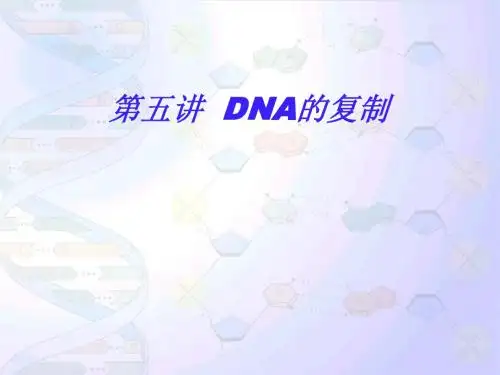 DNA复制