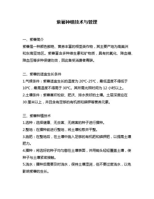 紫薯种植技术与管理