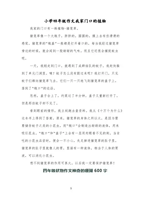 小学四年级作文我家门口的植物