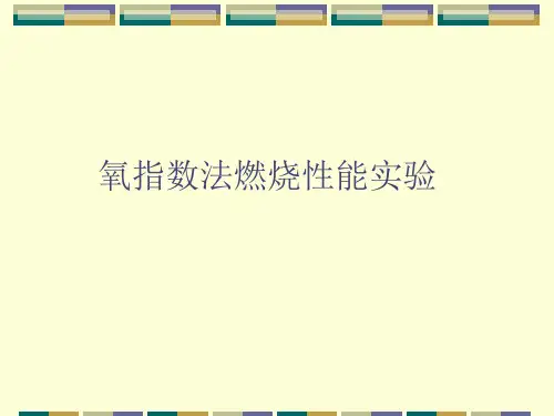 实验14.织物燃烧性