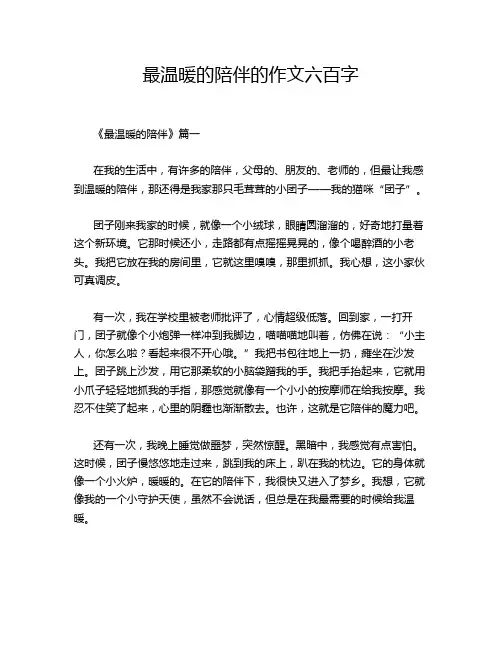 最温暖的陪伴的作文六百字