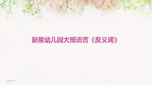 2024版新星幼儿园大班语言《反义词》