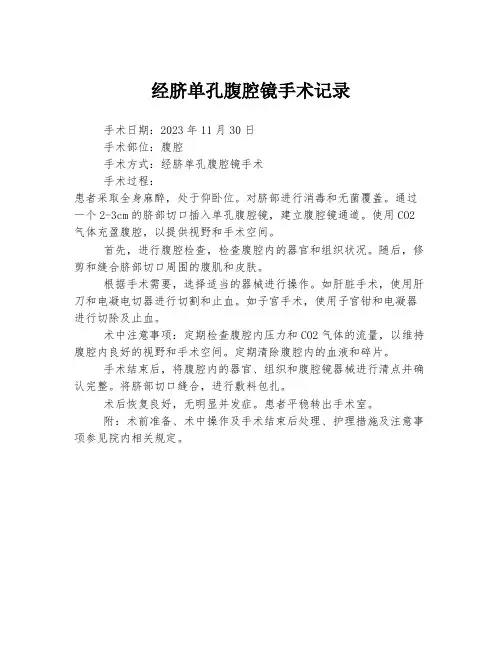 经脐单孔腹腔镜手术记录