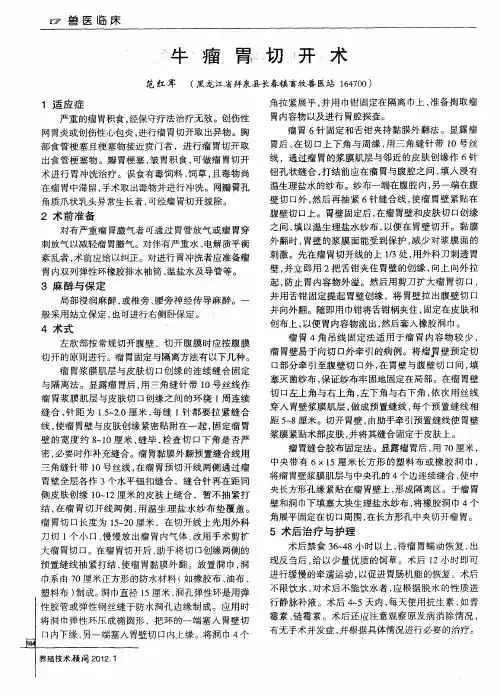 牛瘤胃切开术